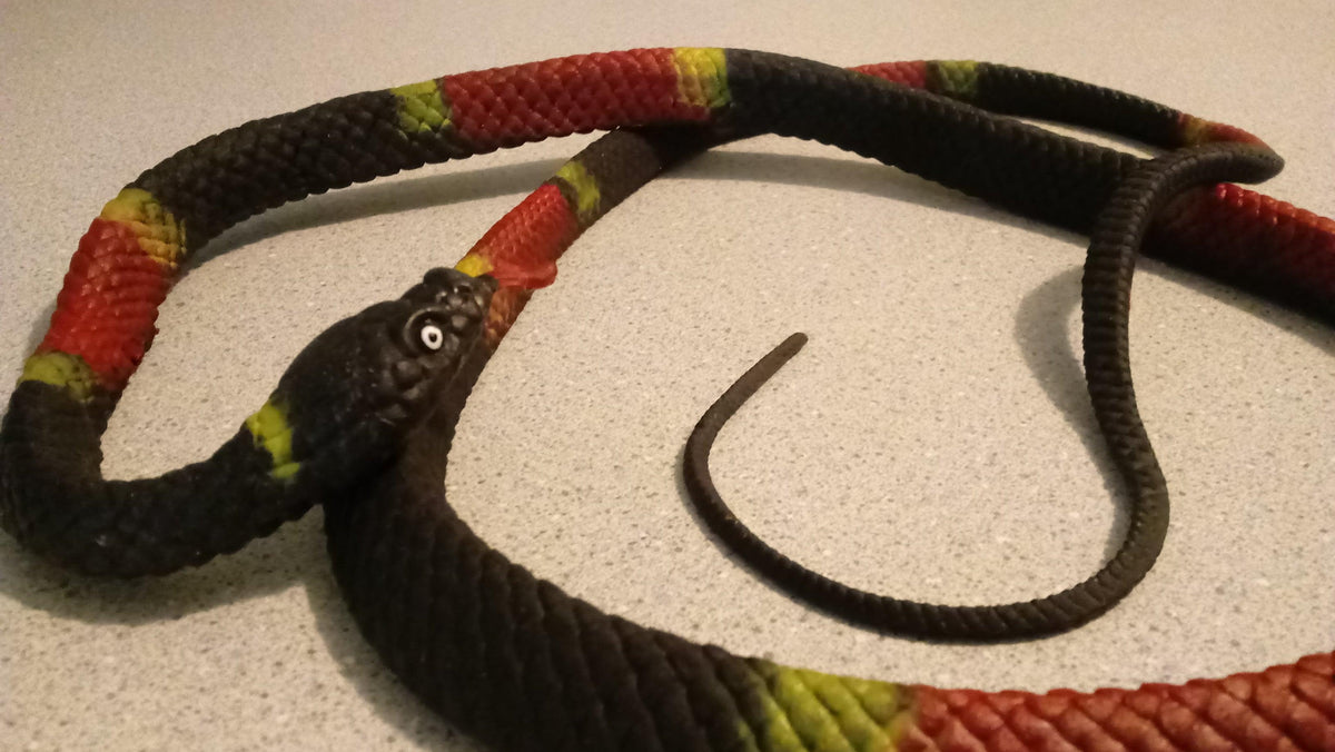 3' 4' Fake Snakes Buy Fake Snakes