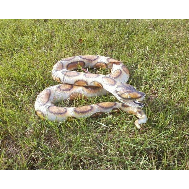 6' Fake Python Snake Buy Fake Snakes