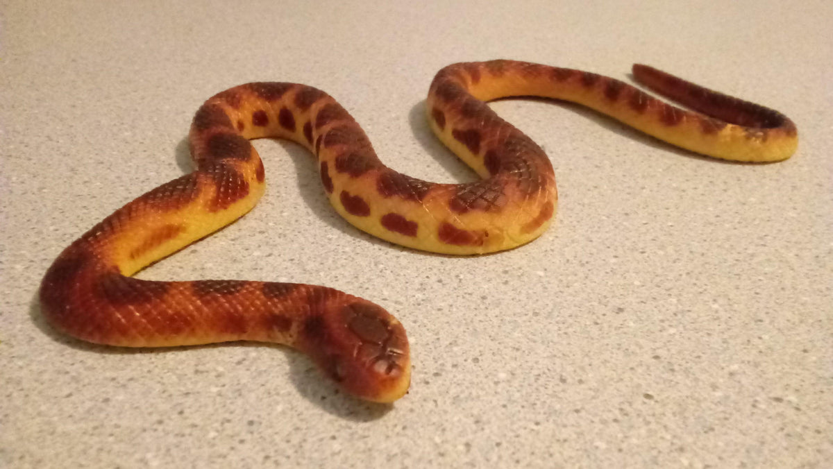 1' - 2' Fake Snakes – Buy Fake Snakes