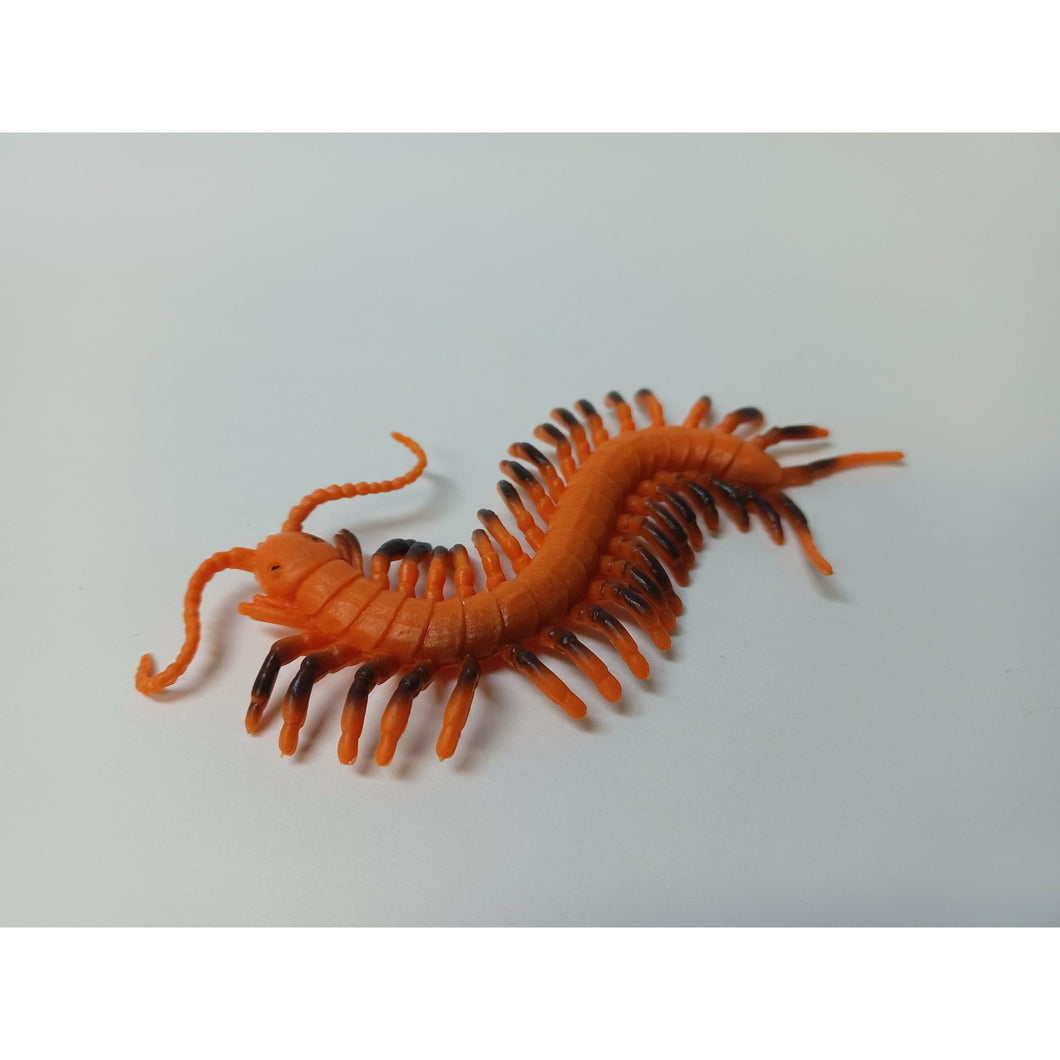 Centipede - Buy Fake Snakes