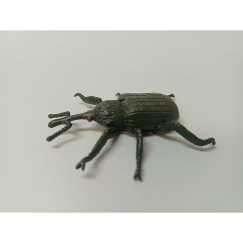 Japanese Rhinoceros Beetle - Buy Fake Snakes