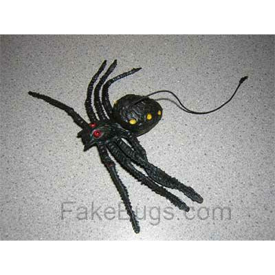 Rubber Spider - Buy Fake Snakes
