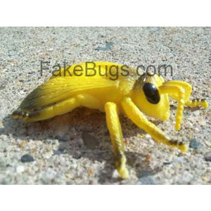 Bumble Bee - Buy Fake Snakes