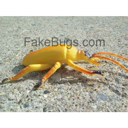Orange Beetle - Buy Fake Snakes