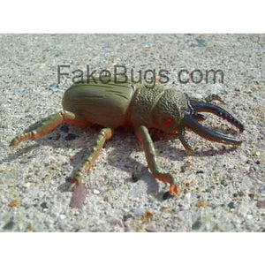 Stag Beetle - Buy Fake Snakes